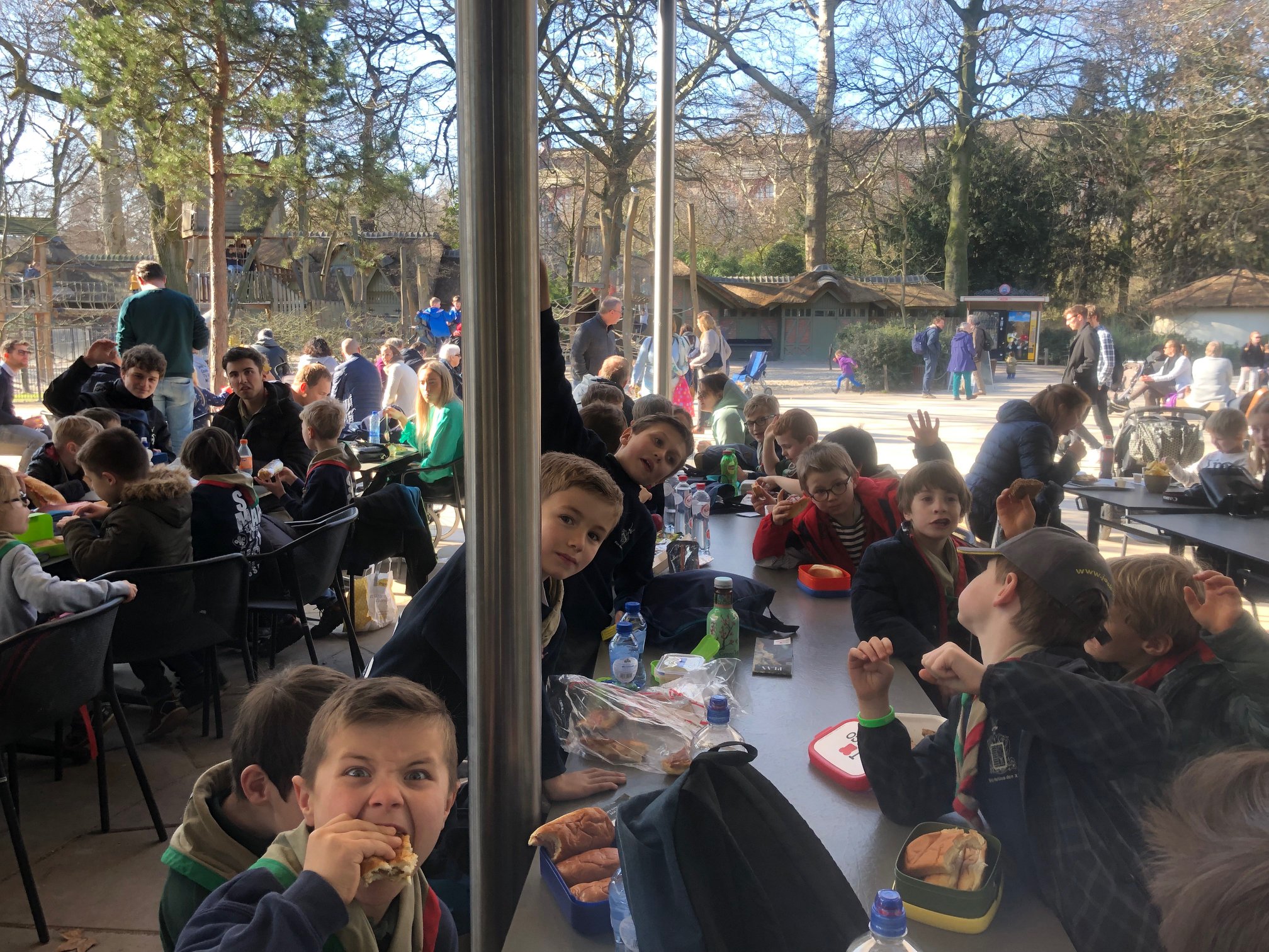 Sint-Martinus den XIIde - Zoo Antwerpen Kapoenen